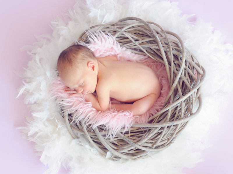 Fotografía de bebés Newborn en un cesto y plumas suaves.