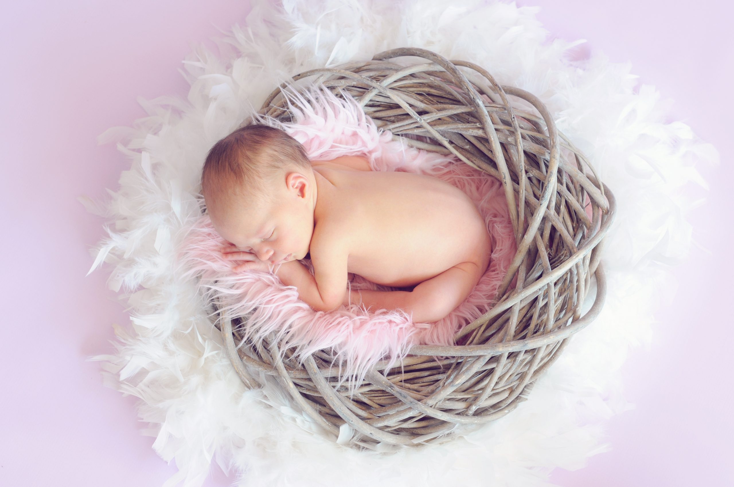 Fotografía de bebés Newborn en un cesto y plumas suaves.