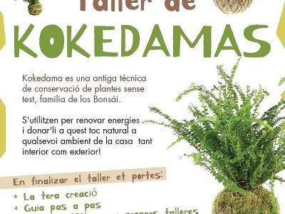 Taller de Kokedamas