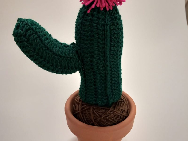 Curso de Crochet en Barcelona: 🌵 Hagamos un Cactus 🌵