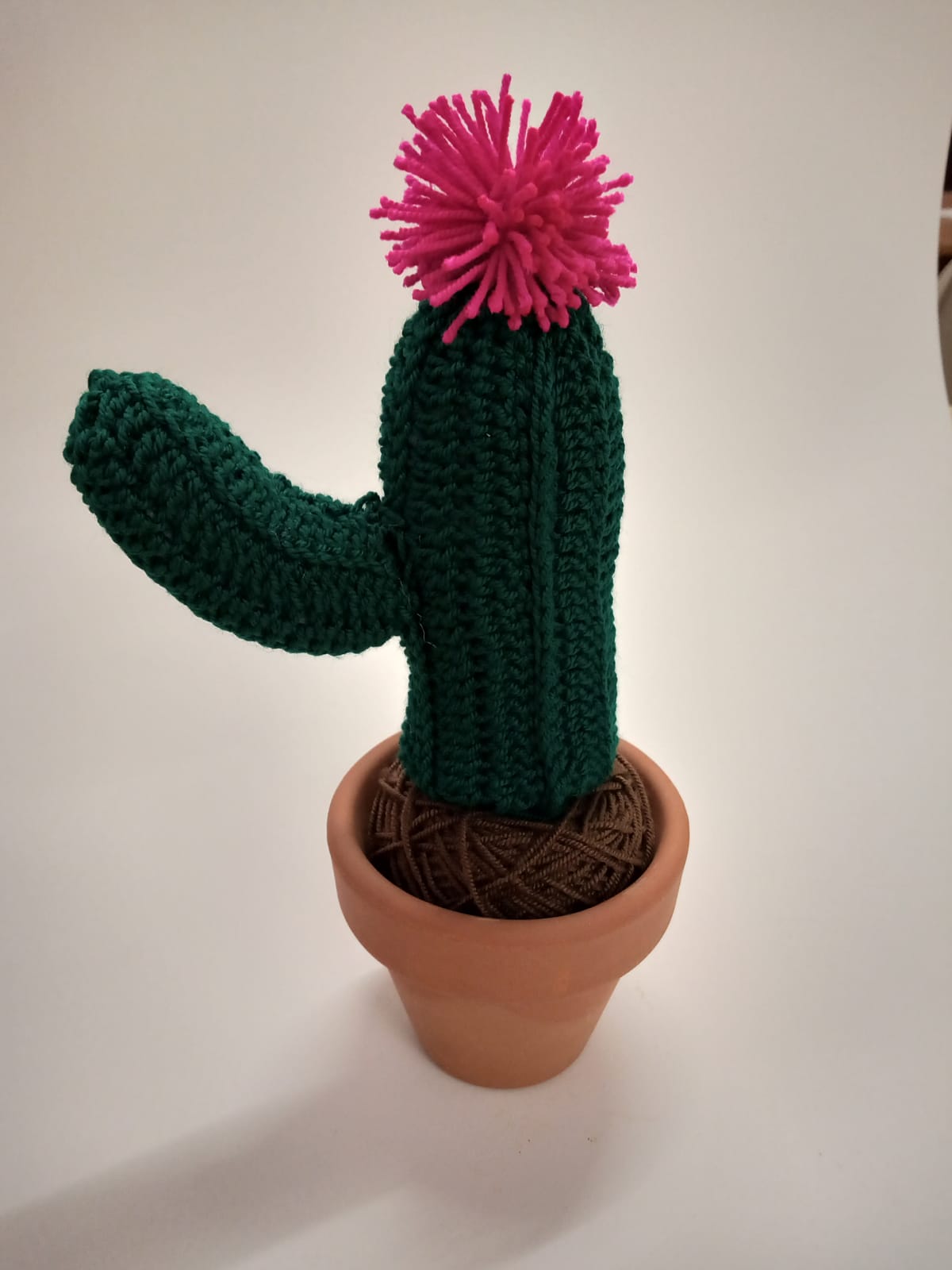 Curso de Crochet en Barcelona: 🌵 Hagamos un Cactus 🌵